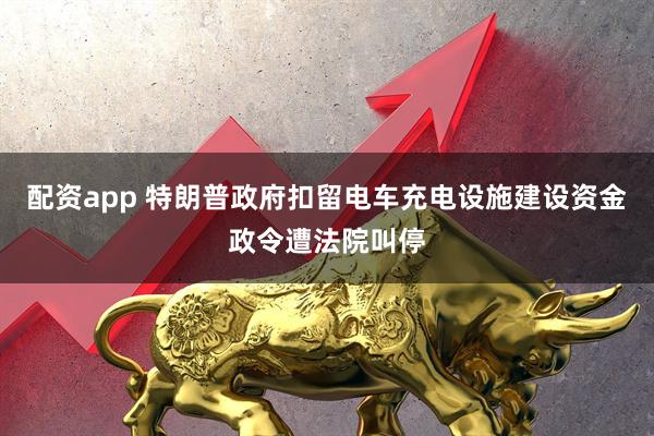 配资app 特朗普政府扣留电车充电设施建设资金政令遭法院叫停