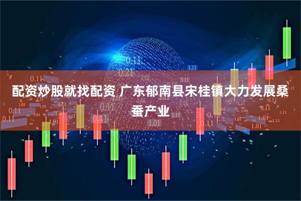 配资炒股就找配资 广东郁南县宋桂镇大力发展桑蚕产业